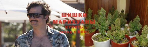 дмт Богородск