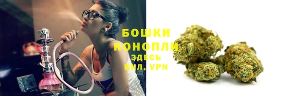 стаф Белоозёрский