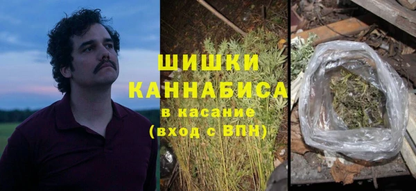 дмт Богородск