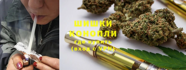 прущие грибы Приозерск