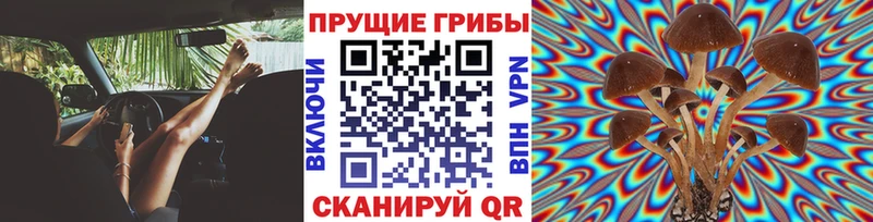 где продают наркотики  blacksprut сайт  Галлюциногенные грибы Cubensis  Бирск 